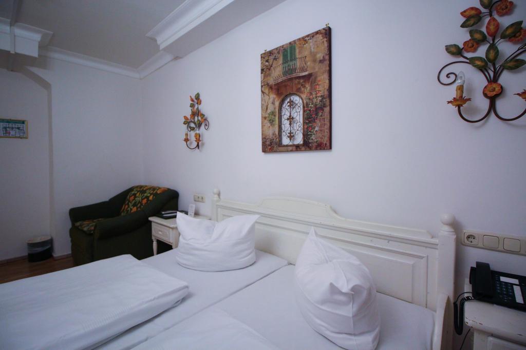 Seibel 3*